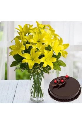 Yellow Asiatic with Cake