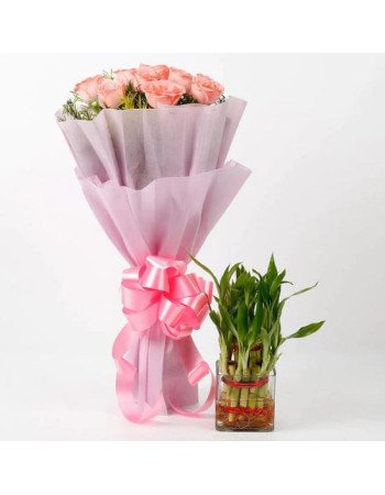 pink n green