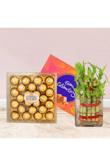 Ferrero Choco Celebration