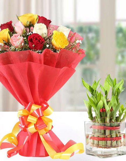 Mix Roses n Lucky Bamboo Plant