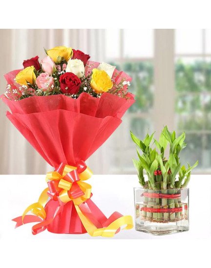 Mix Roses n Lucky Bamboo Plant