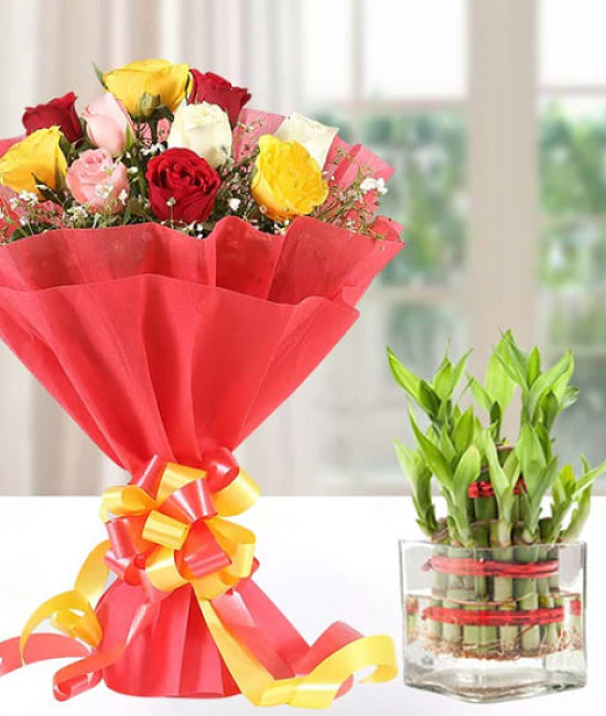 Mix Roses n Lucky Bamboo Plant