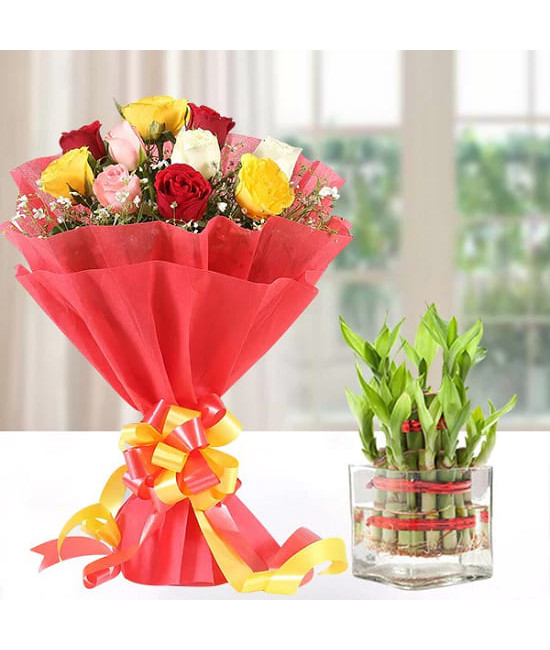 Mix Roses n Lucky Bamboo Plant