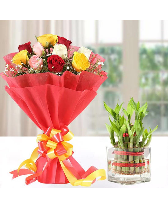 Mix Roses n Lucky Bamboo Plant