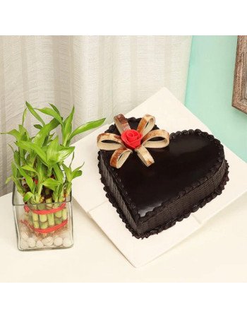 Plant N Heart Shaped Cake