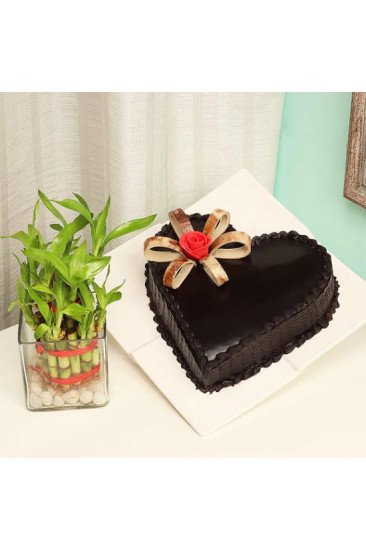 Plant N Heart Shaped Cake