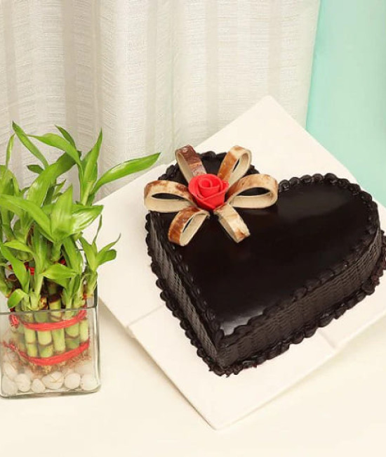 Plant N Heart Shaped Cake Plant N Heart Shaped Cake