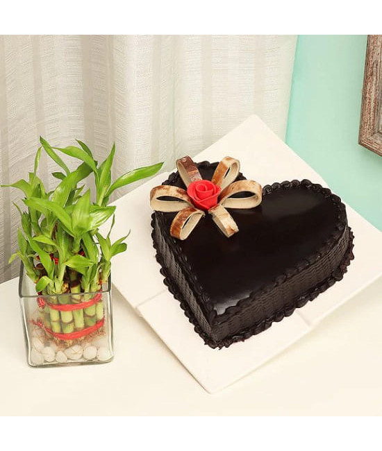 Plant N Heart Shaped Cake