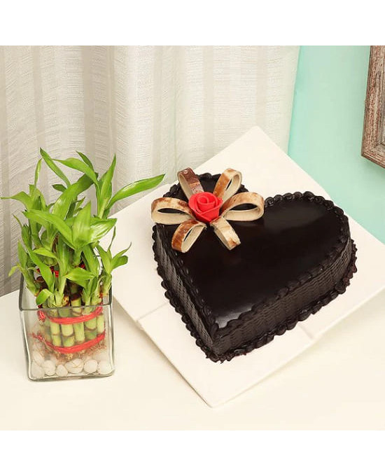 Plant N Heart Shaped Cake