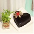 Plant N Heart Shaped Cake