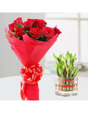 Red Roses n Lucky Bamboo 