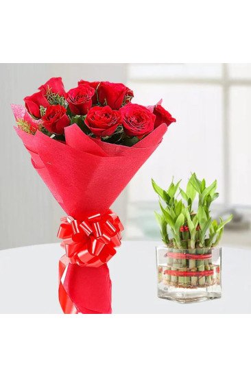 Red Roses n Lucky Bamboo 