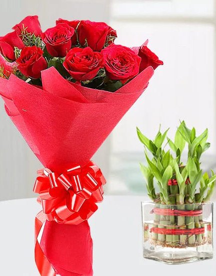 Red Roses n Lucky Bamboo 