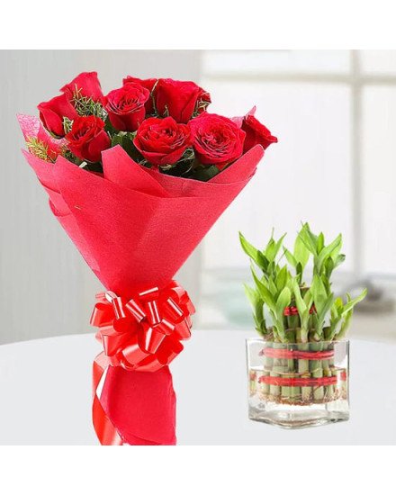 Red Roses n Lucky Bamboo 