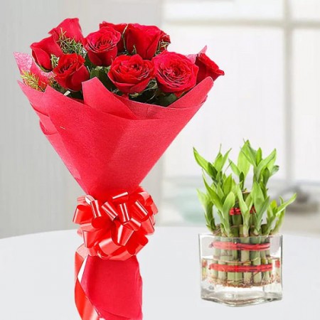 Red Roses n Lucky Bamboo 