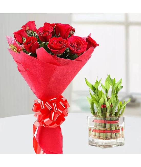 Red Roses n Lucky Bamboo 