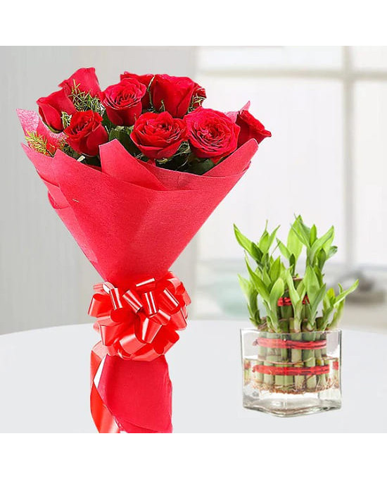 Red Roses n Lucky Bamboo 