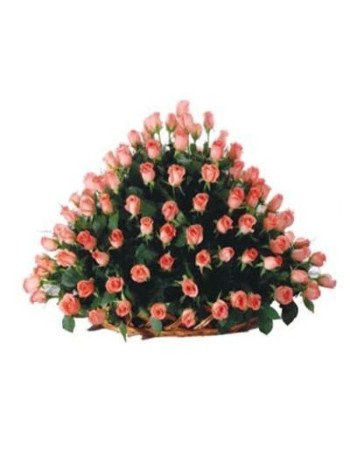 100 Pink Roses Basket