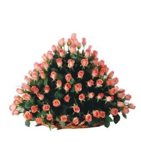 100 Pink Roses Basket