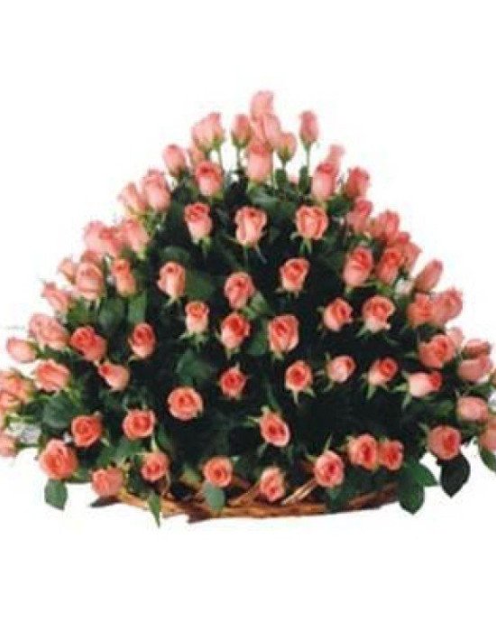 100 Pink Roses Basket