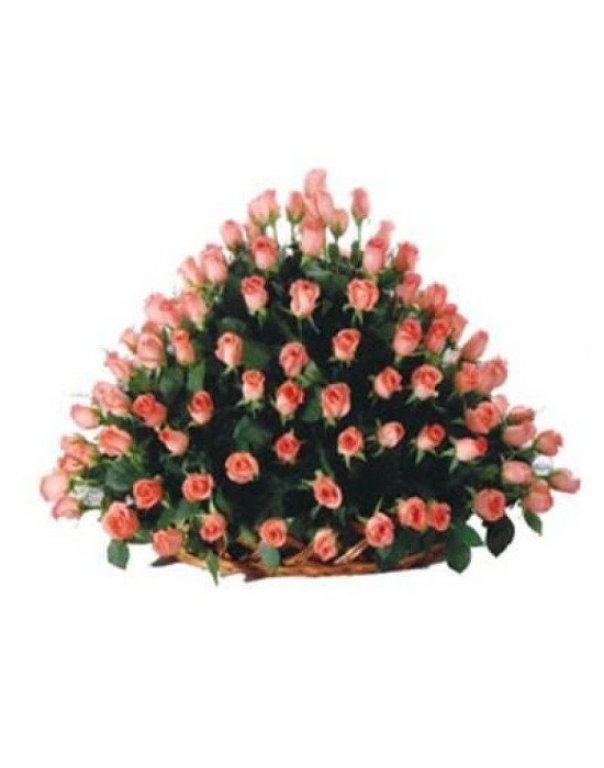 100 Pink Roses Basket