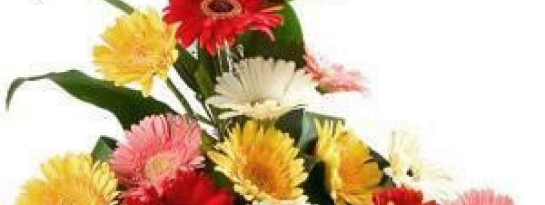 How to Choose the Right Florist for Every Occasion? How to Choose the Right Florist for Every Occasion?