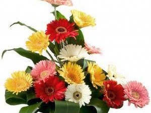 How to Choose the Right Florist for Every Occasion?