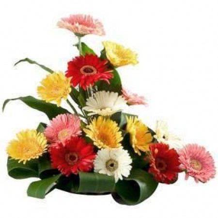 Test 15 Mix Gerbera Basket