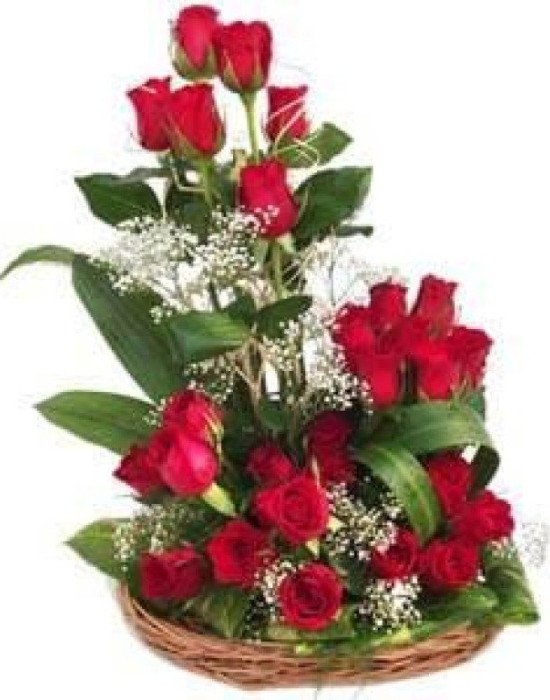 25 Roses basket