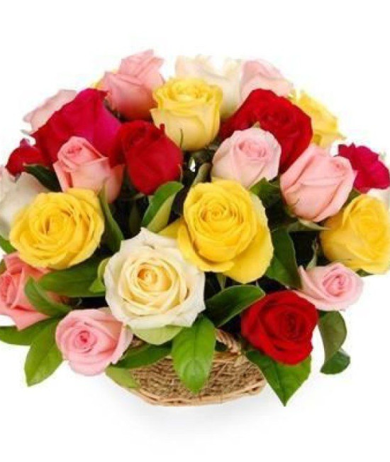 25 mix color roses Basket 25 mix color roses Basket