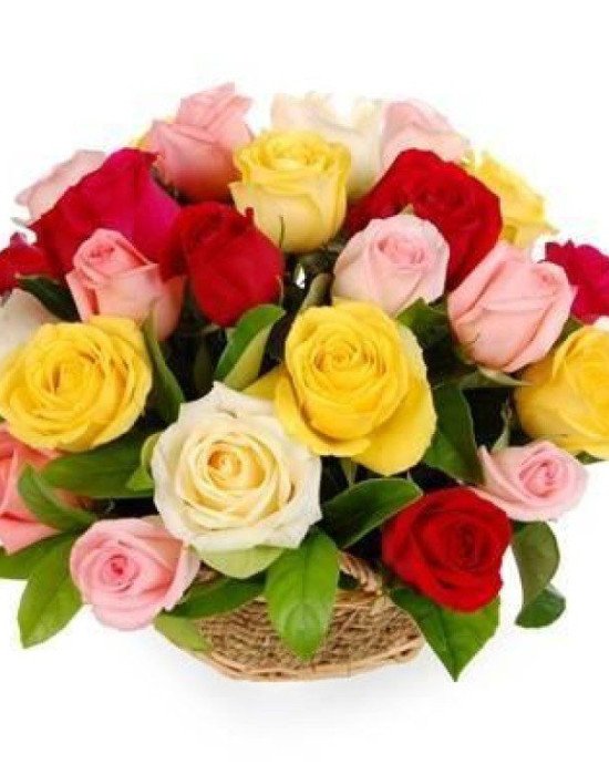 25 mix color roses Basket