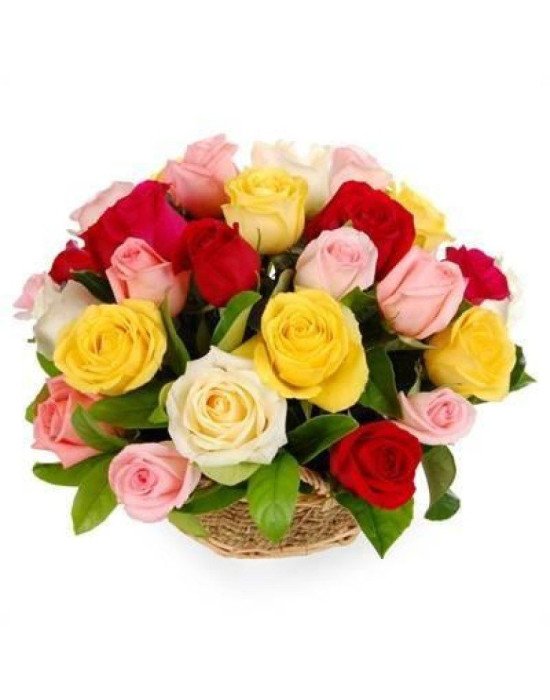 25 mix color roses Basket