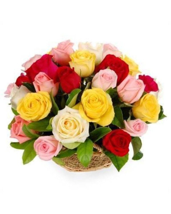 25 mix color roses Basket