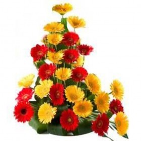 30 Gerberas Arrangement