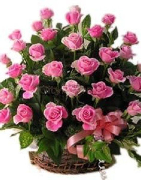 60 Pink Roses Basket