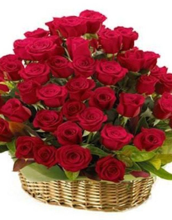 60 red roses round basket