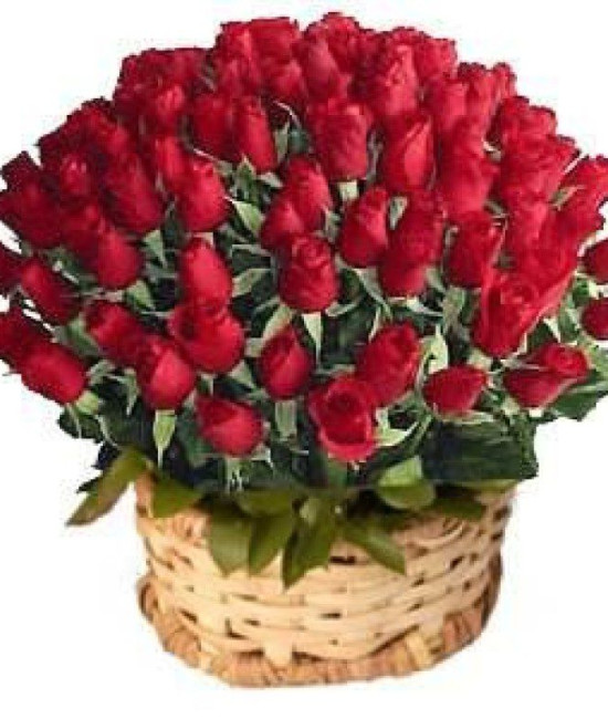 72 Red Roses Round Basket 72 Red Roses Round Basket