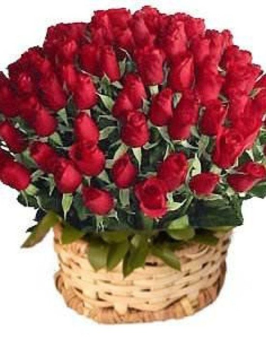 72 Red Roses Round Basket