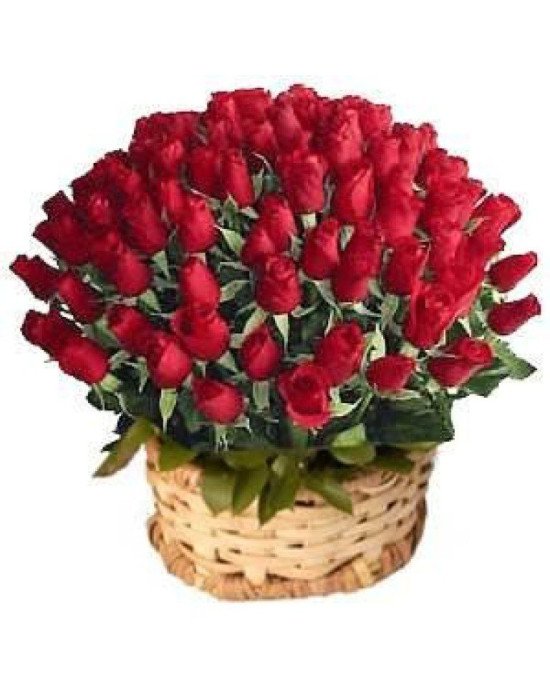 72 Red Roses Round Basket