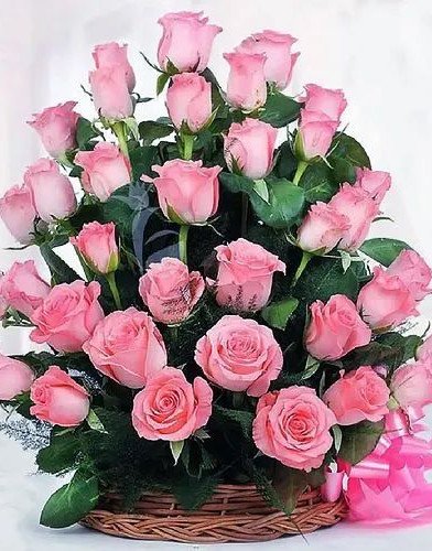 Bright Baskets of Long Stemmed Pink Roses with a Bow
