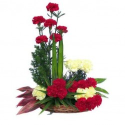 Designer Carnation Basket