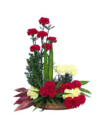 Designer Carnation Basket