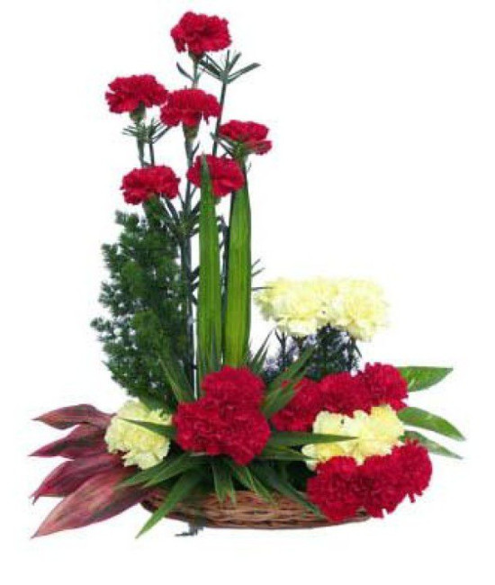 Designer Carnation Basket Designer Carnation Basket