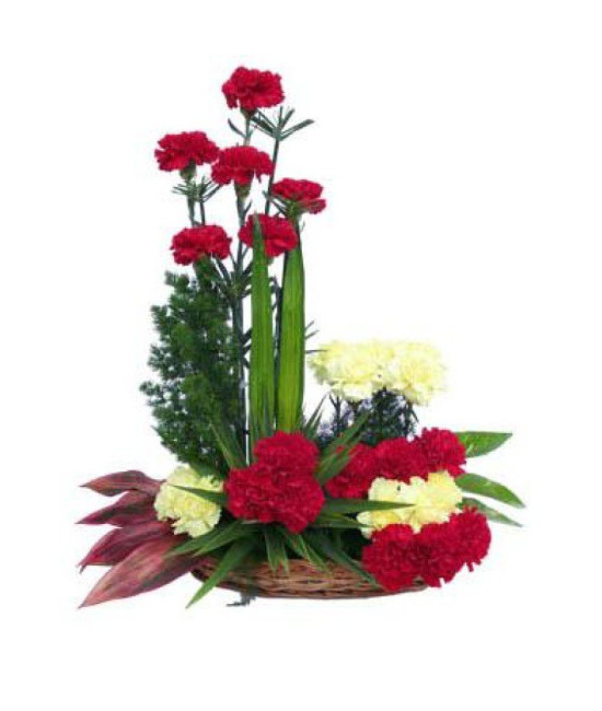 Designer Carnation Basket