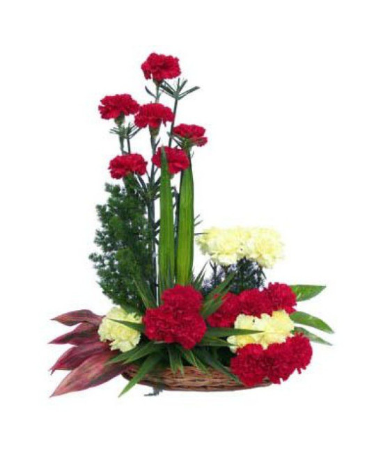 Designer Carnation Basket