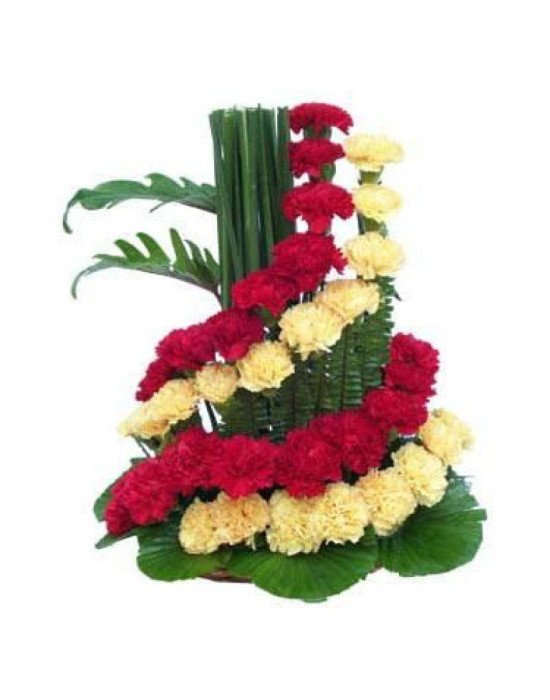Exotic Carnations Arrangement