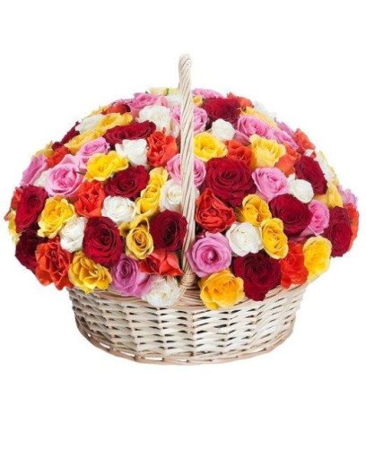 Garden Of Roses
