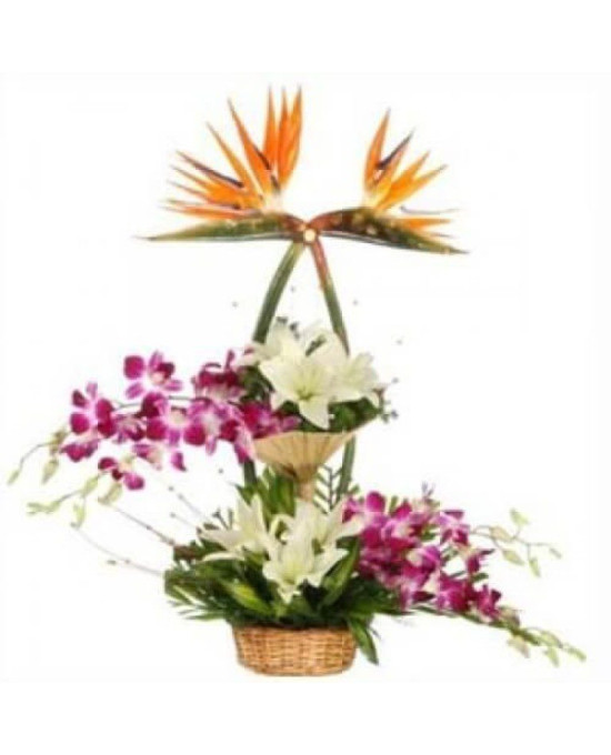 Mix Exotic Arrangement