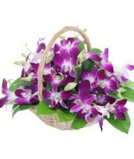 Orchids Basket Orchids Basket