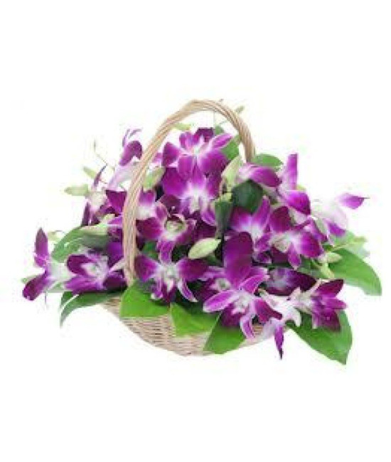 Orchids Basket